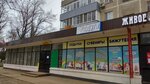 Радуга (улица Орджоникидзе, 49/4) ، متجر ملابس أطفال
