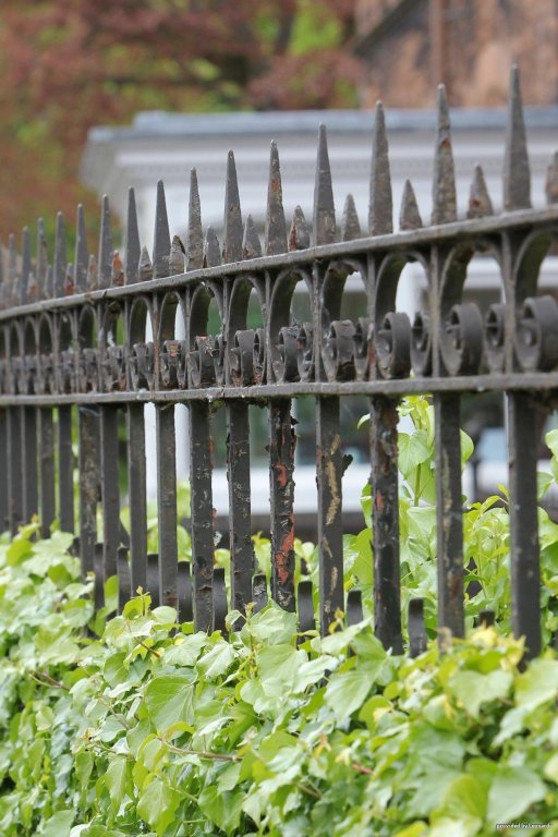 Фото Best Western Station Hotel