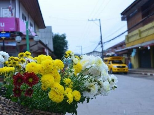 Гостиница Pai Cat Hut Guesthouse