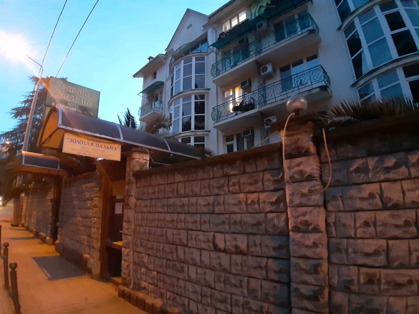 Фото Золотая пальма