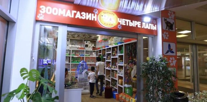 Pet shop Chetire Lapi, Dushanbe, photo