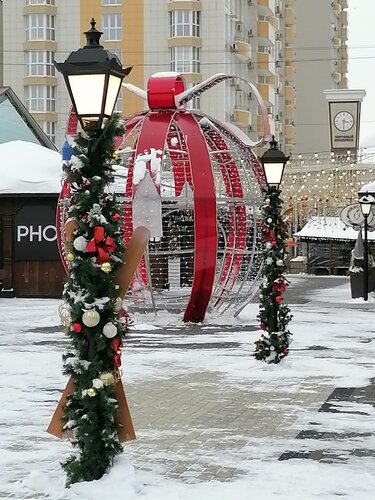 Жылтыр қара есек