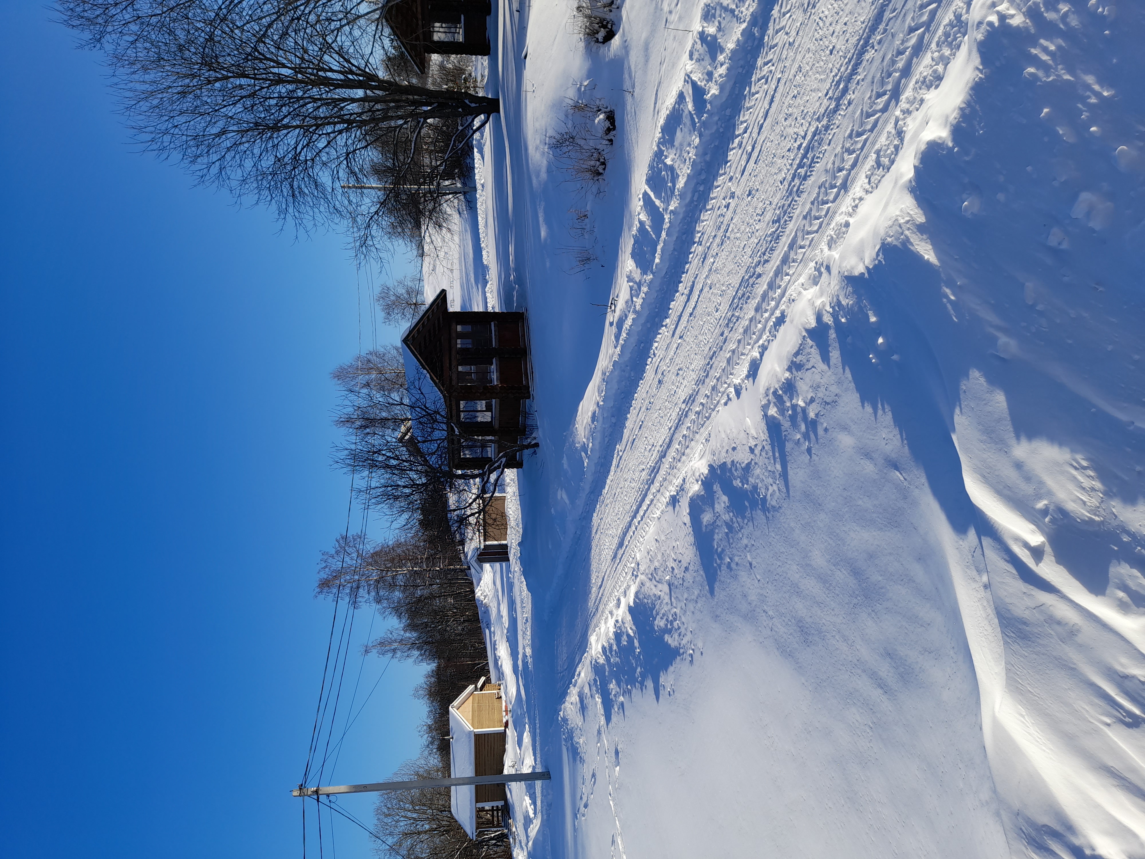 Фото Фазенда Глухомань