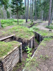 Kuuterselkä 1944 (Leningrad Region, Vyborgskiy District, Roshchinskoye gorodskoye poseleniye), landmark, attraction
