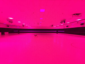 Roller King (United States, ALBUQUERQUE, 400 PAISANO Street Northeast), entertainment center