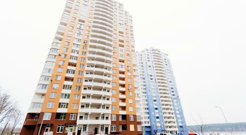 Апартаменты RentOrg Volodymyra Naumovycha в Киеве