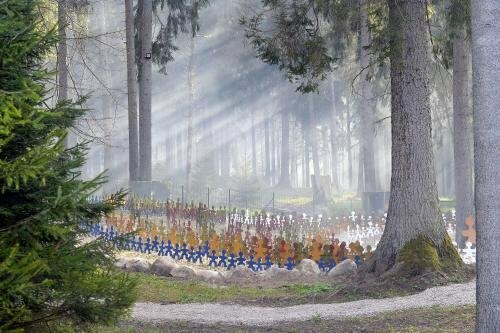 Short-term housing rental Valguma Pasaule, Engure municipality, photo