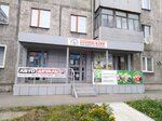 Магазин автозапчастей (ulitsa Suvorova, 7) ، مستلزمات وزينة السيارات