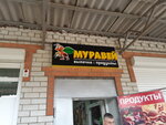 Муравей (ulitsa Turgeneva, 10), grocery