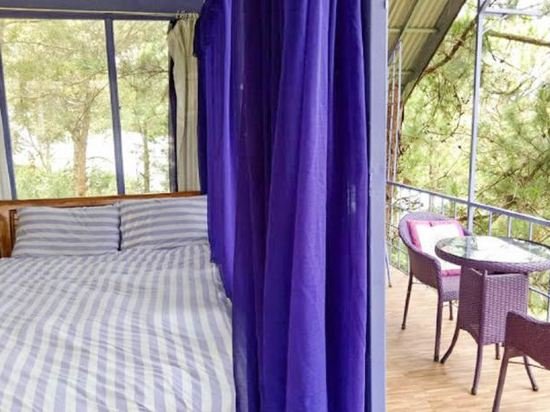 Фото Pine Hill Homes Dalat