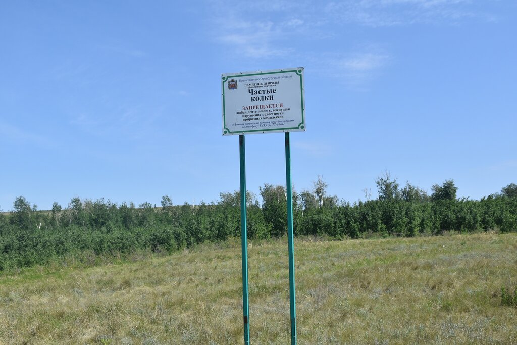 Nature Ландшафтно-ботанический памятник природы Частые колки, Orenburg Oblast, photo