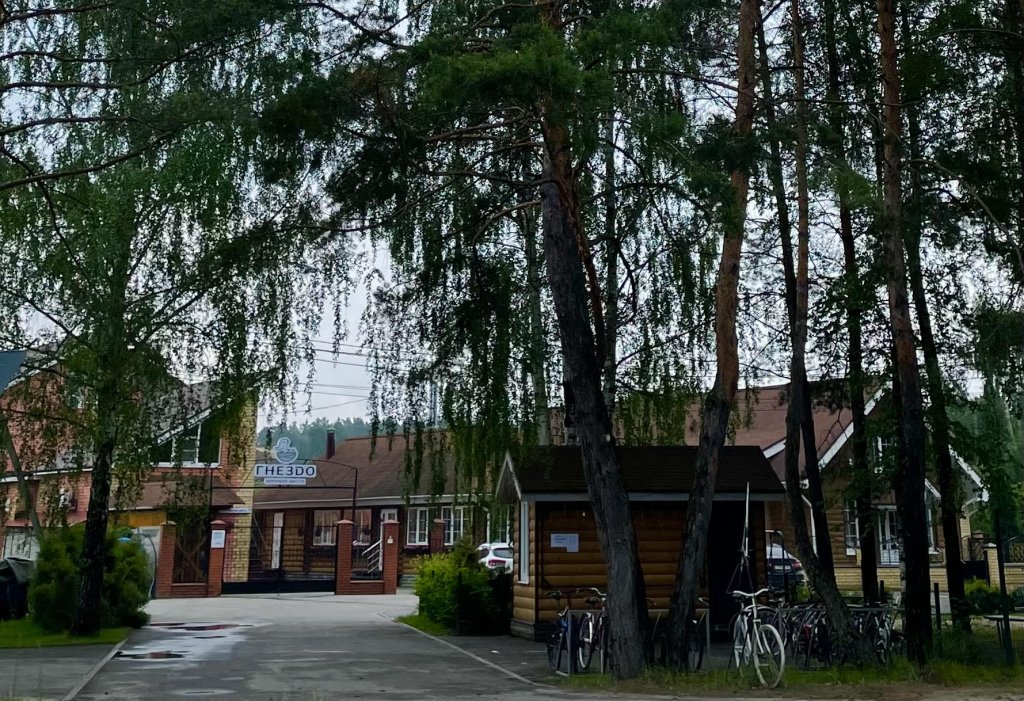 Фото Гнездо Хорошее место