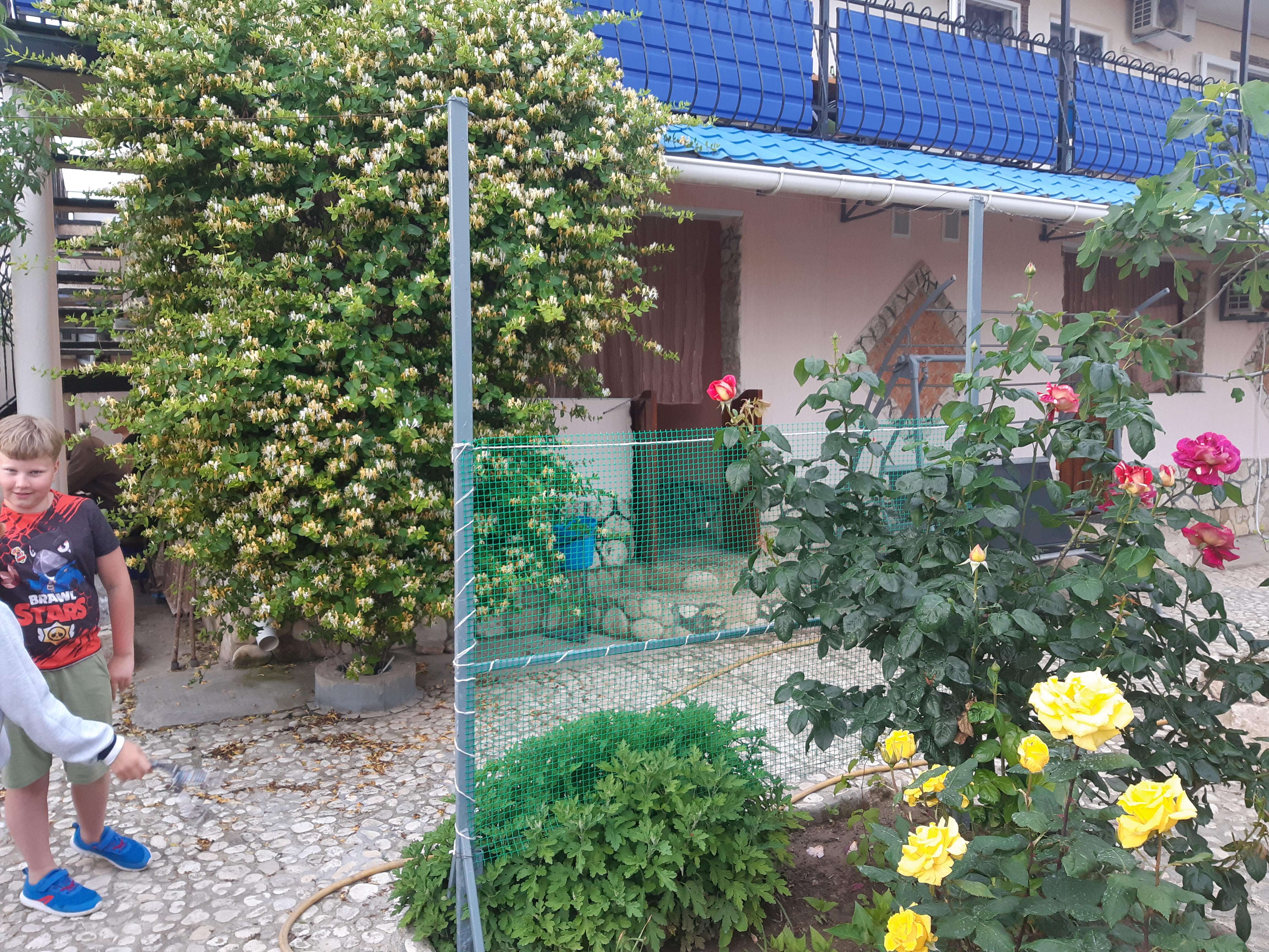 Фото Крабовая бухта