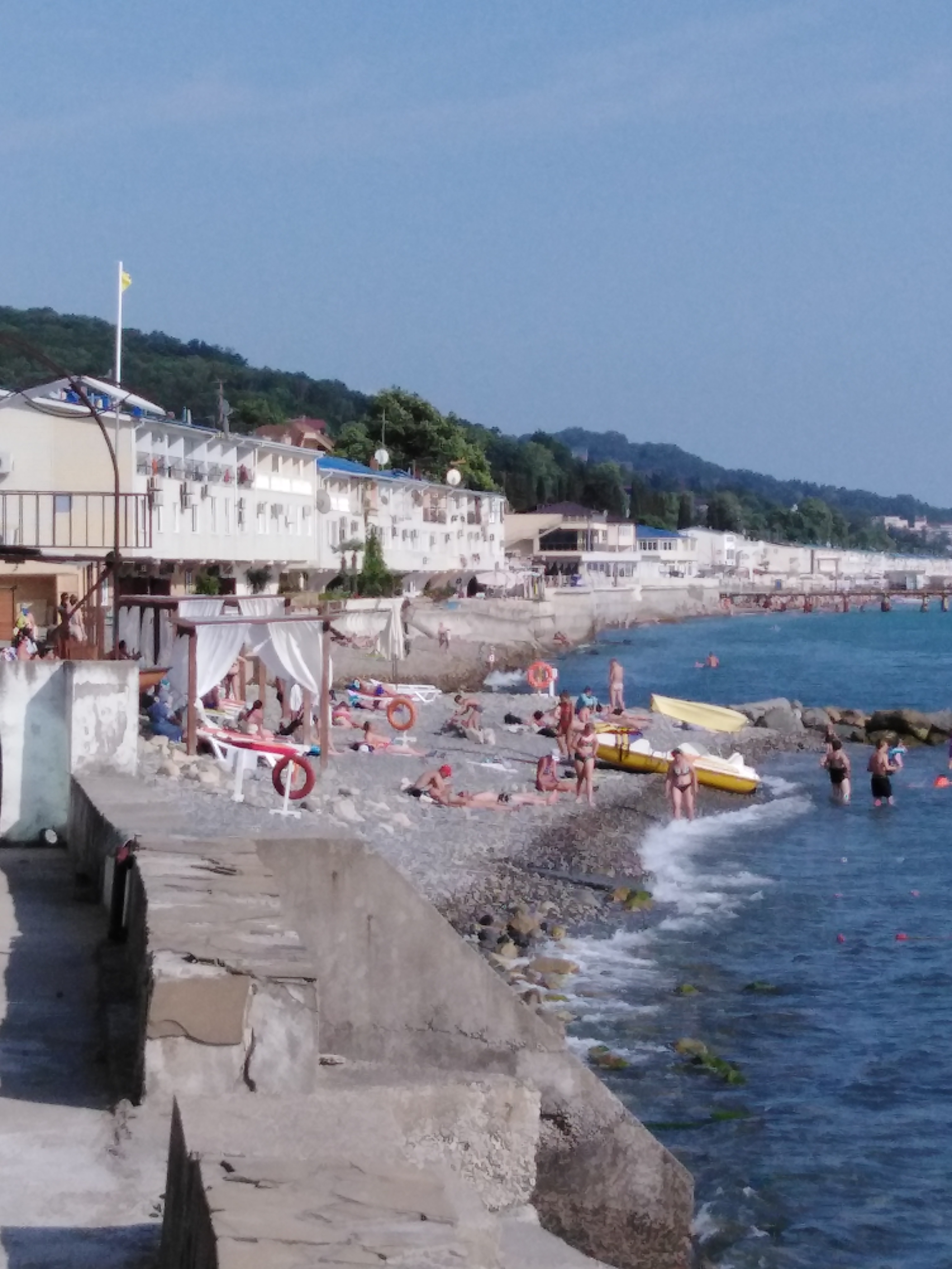 Фото Ариода