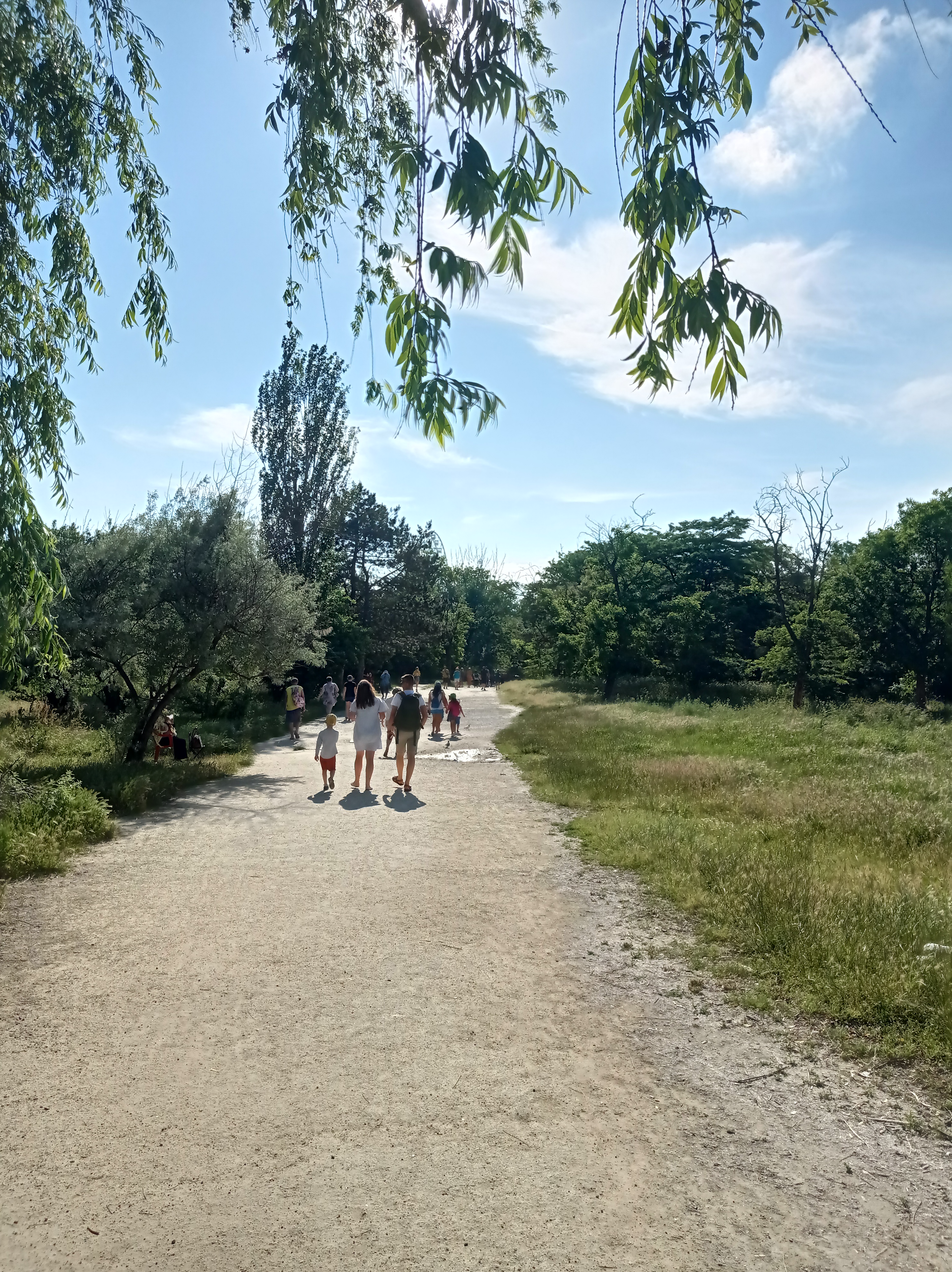 Фото Уютный