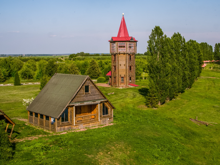 Фото Кленовая роща