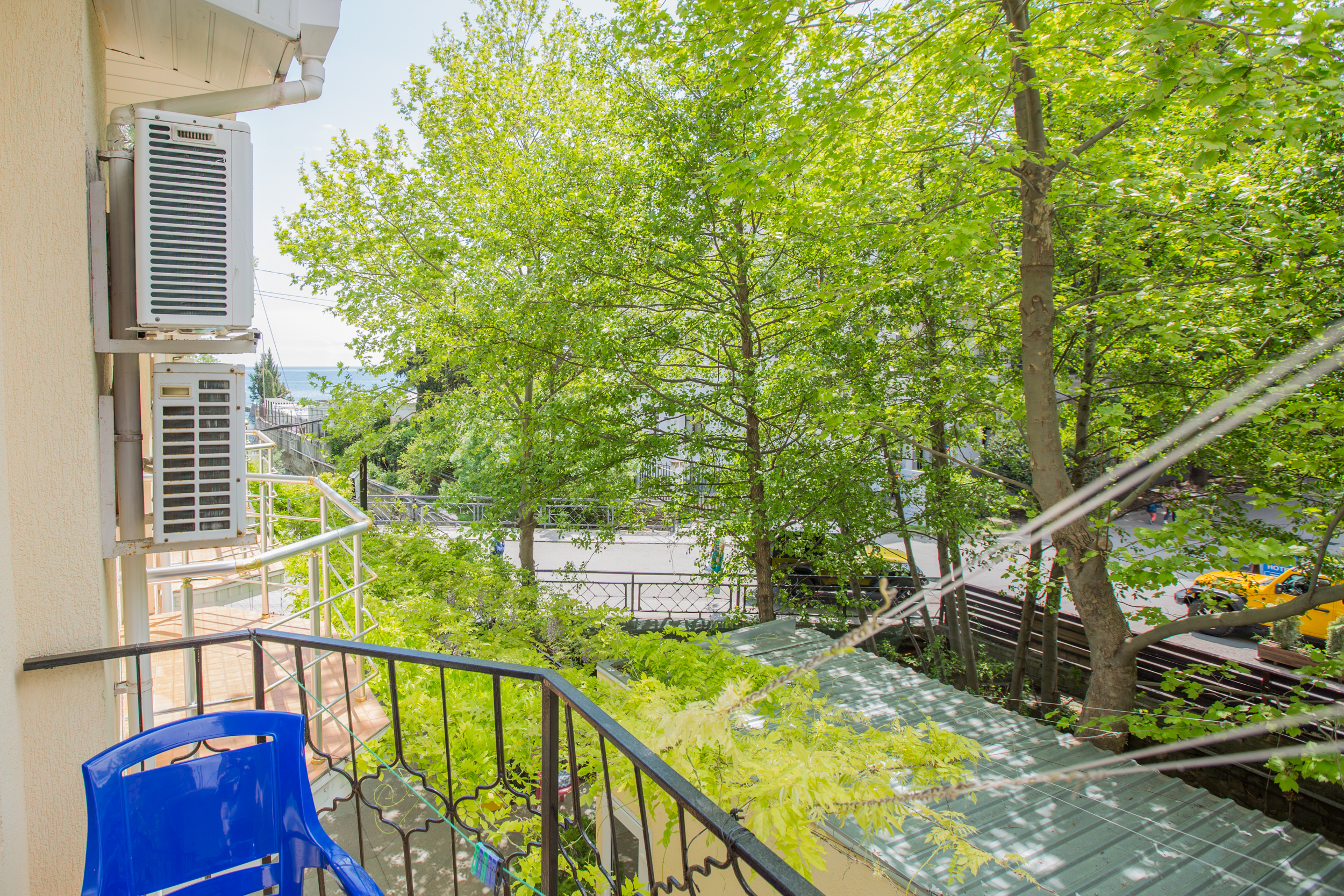 Фото Восторг