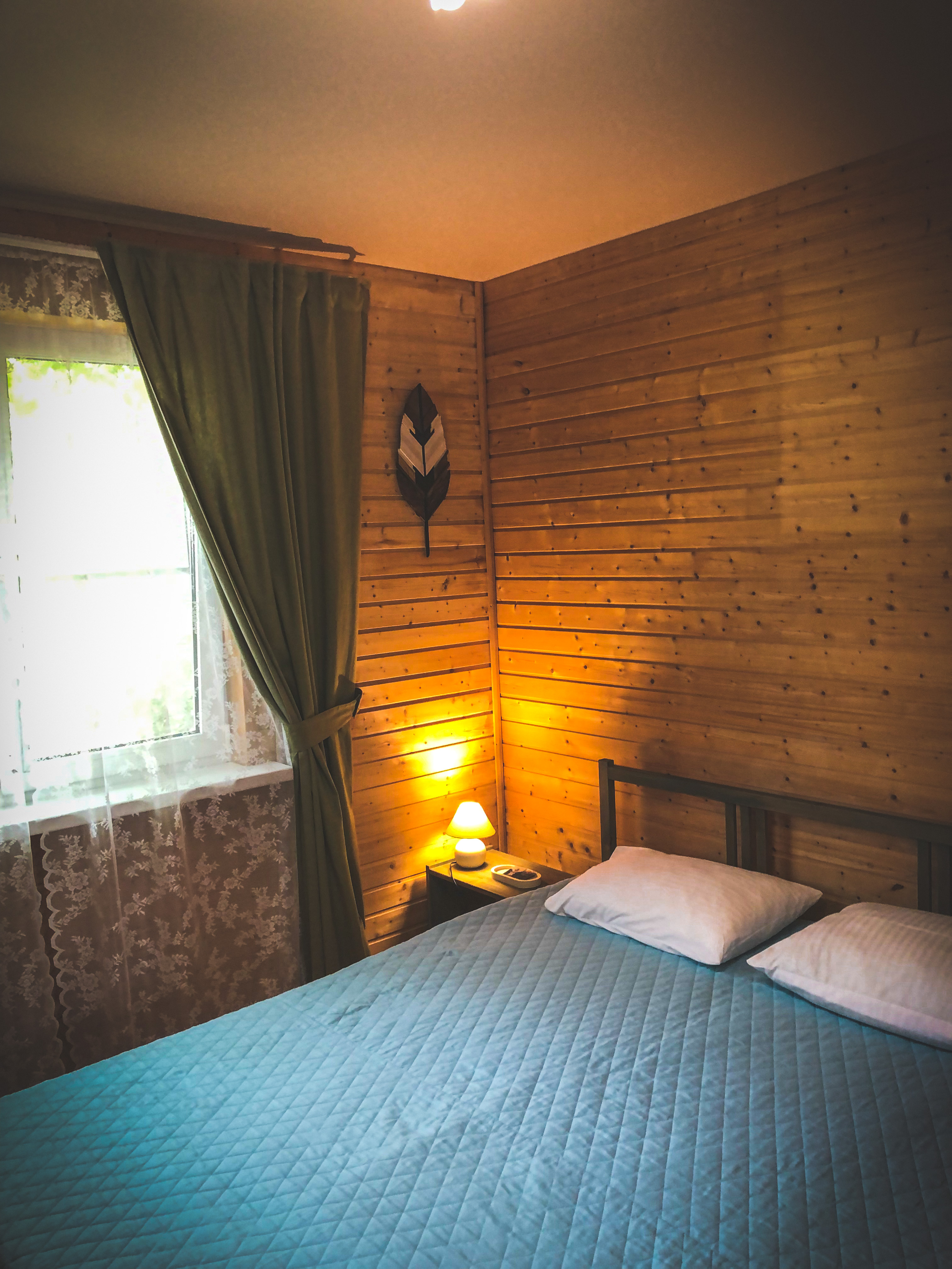 Фото Зелёный уголок