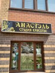Salon krasoty Anastel (Rabochaya ulitsa, 2) ، صالون تجميل