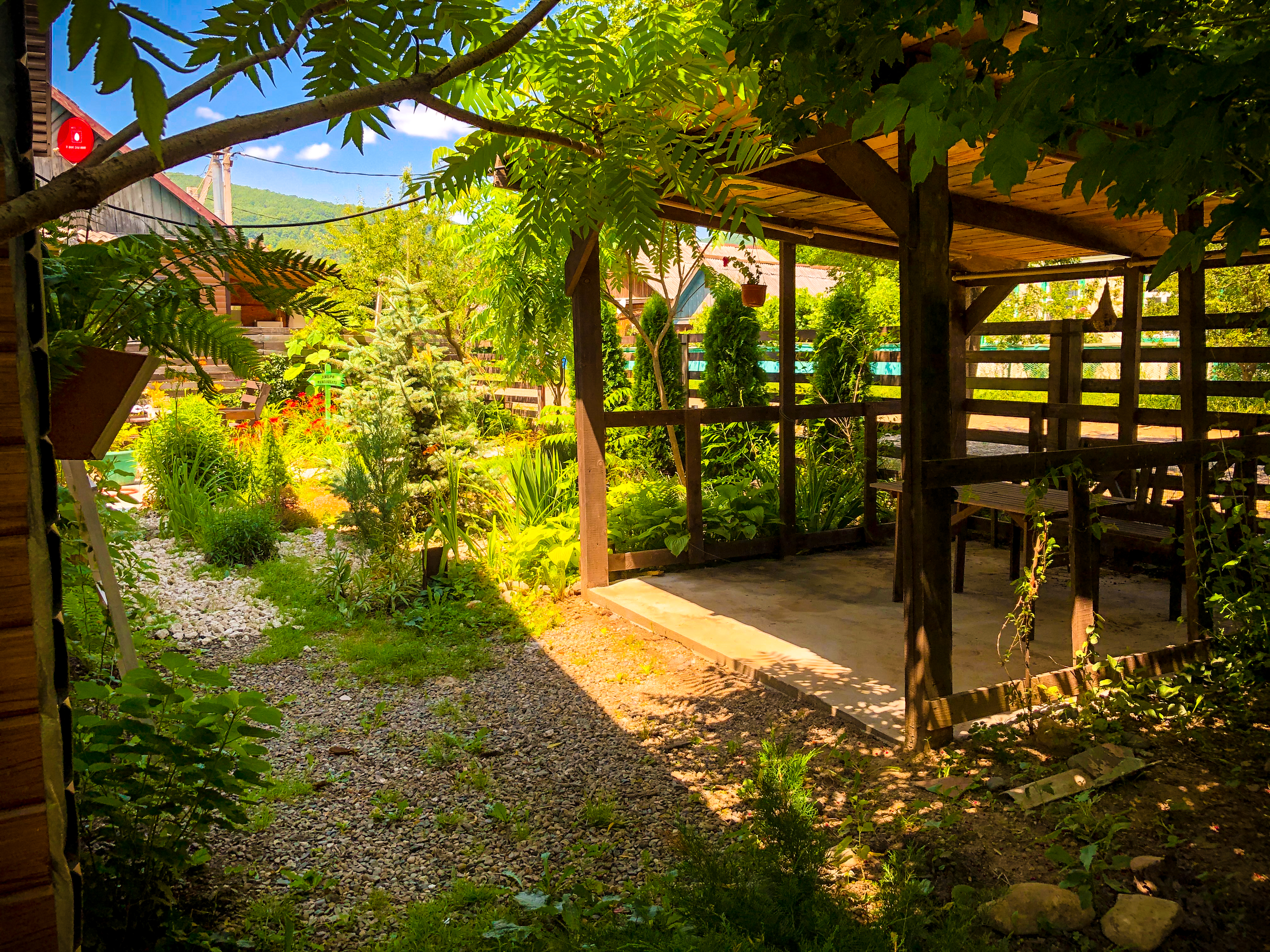 Фото Зелёный уголок