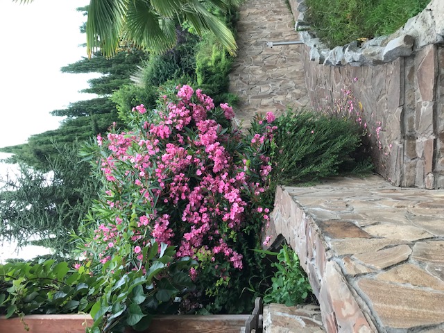 Фото Таврида