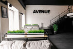 Avenue (Sennaya Street, 22/22) ، مطعم يقدم الشيشة