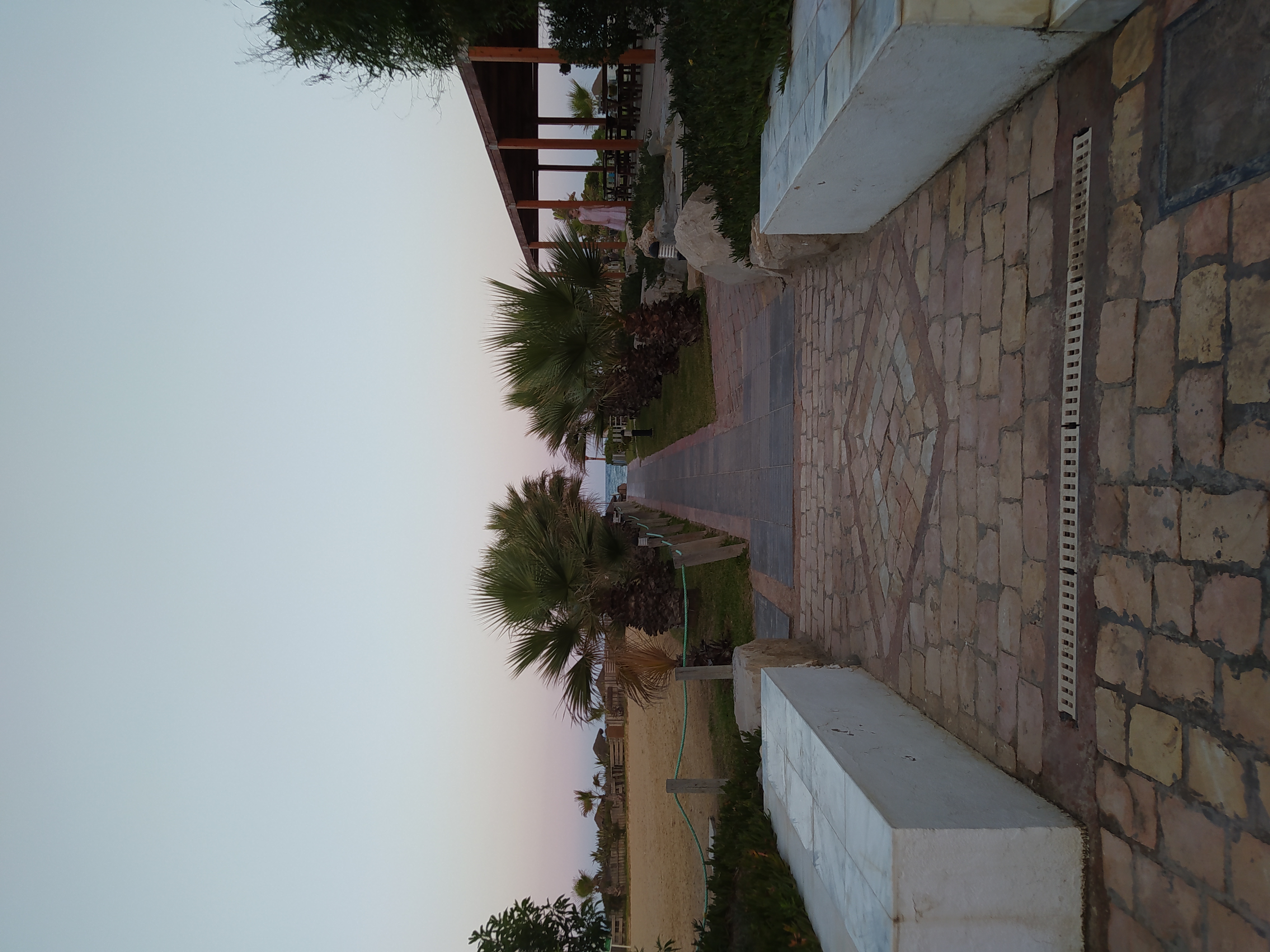 Фото TUI Magic Life Africana