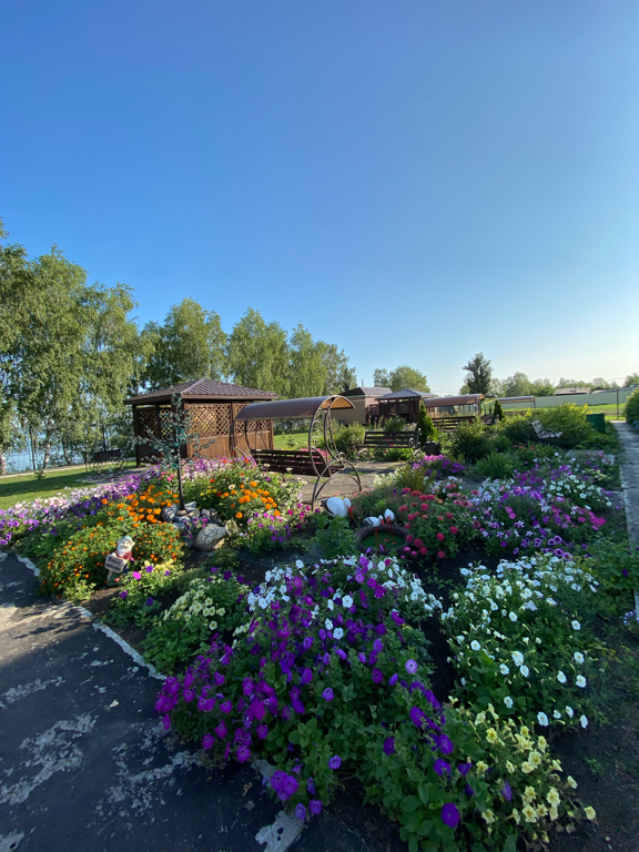 Фото Жемчужина Ика