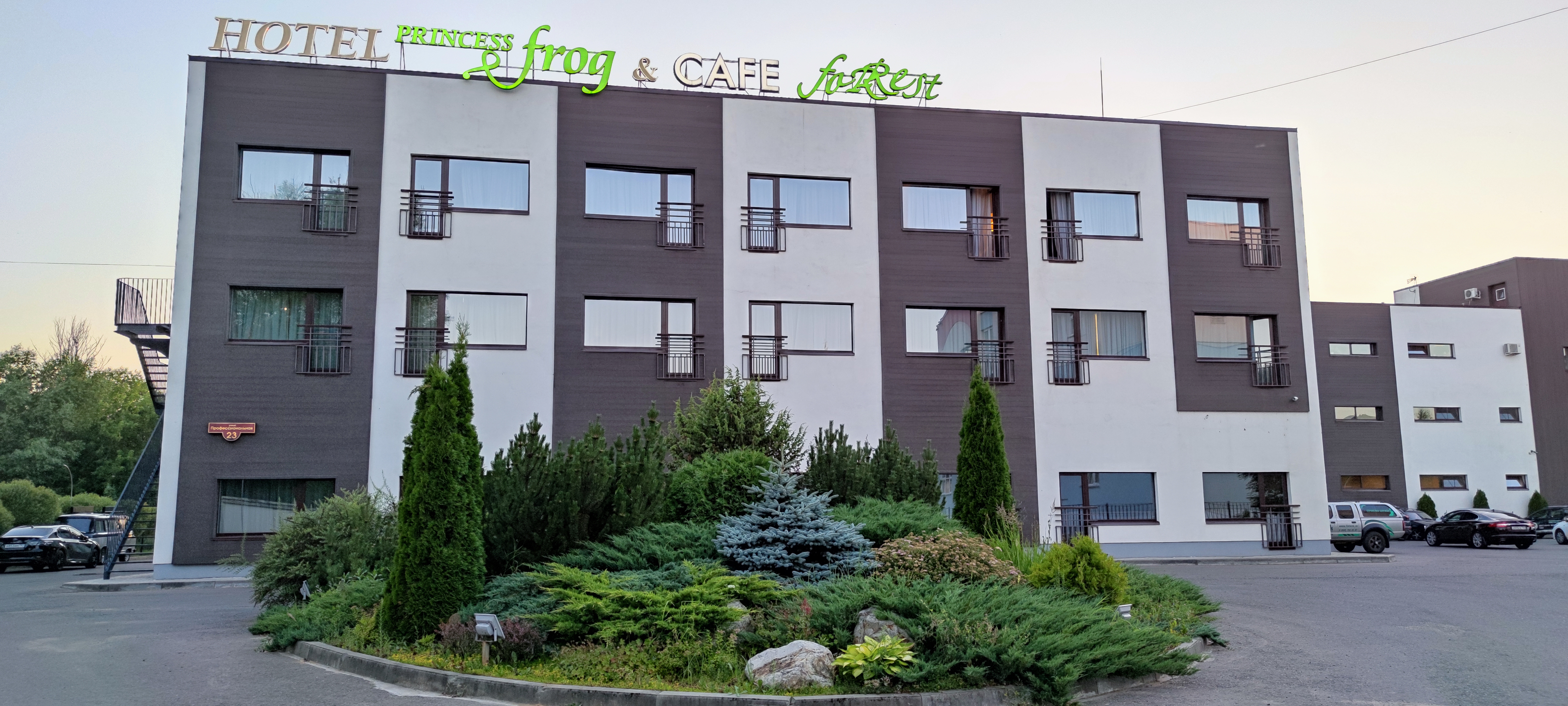 Фото Princess Frog