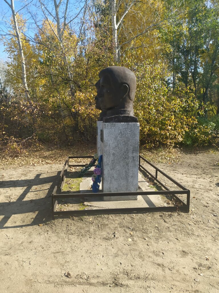 Monument, memorial Бюст Героя Советского Союза С.Н. Россохи, Altai Krai, photo