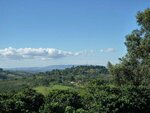 Voa Mirante Do Café (Оуро Прето, Fazenda Alto das Rubiáceas), отдых на ферме в Штате Минас‑Жерайс