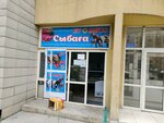 Sybaga (Alatau City Administrative District, Aqkent yqsham aýdany, 18) ، متجر جزارة، ديلي