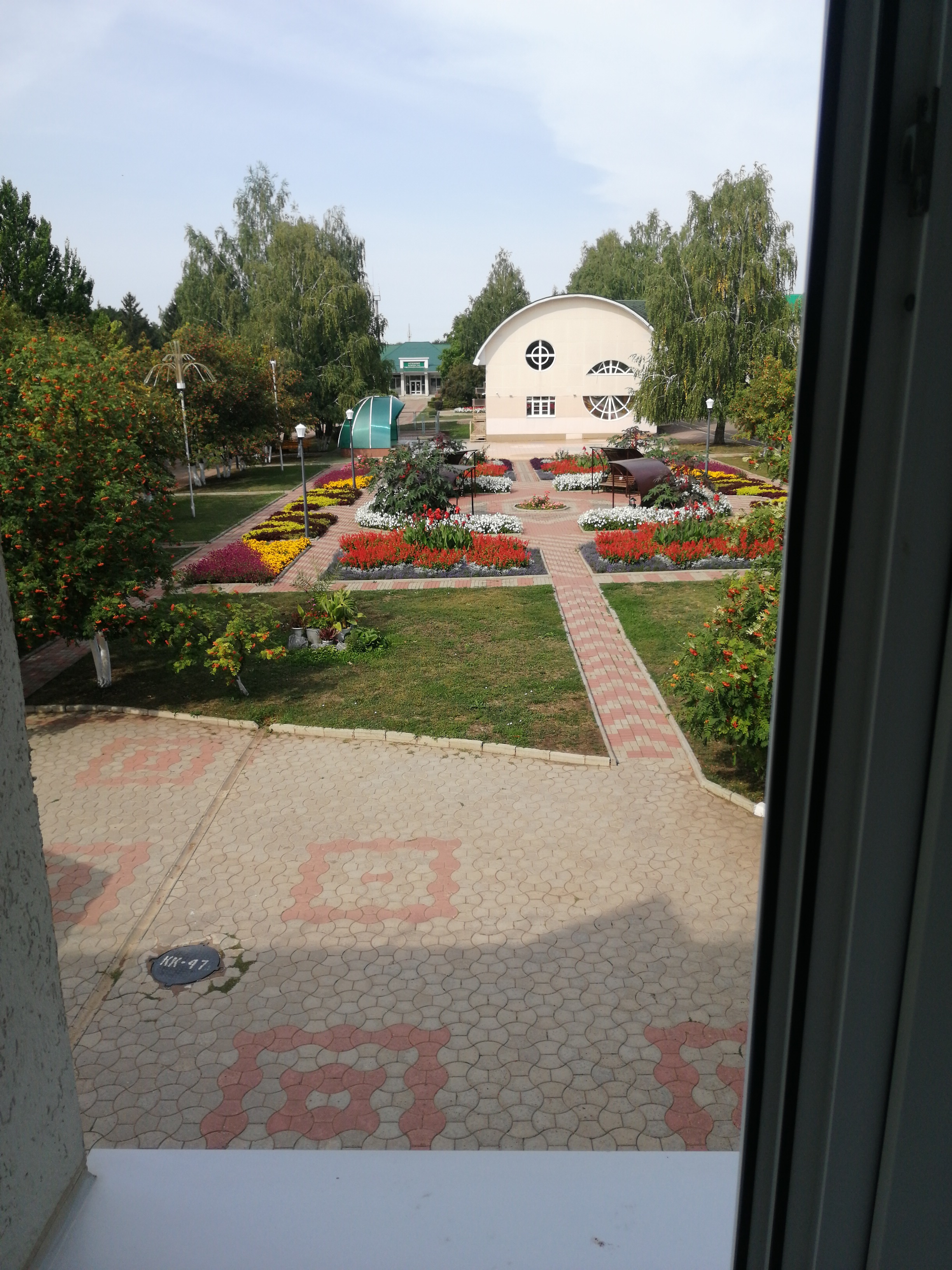 Фото Ромашкино