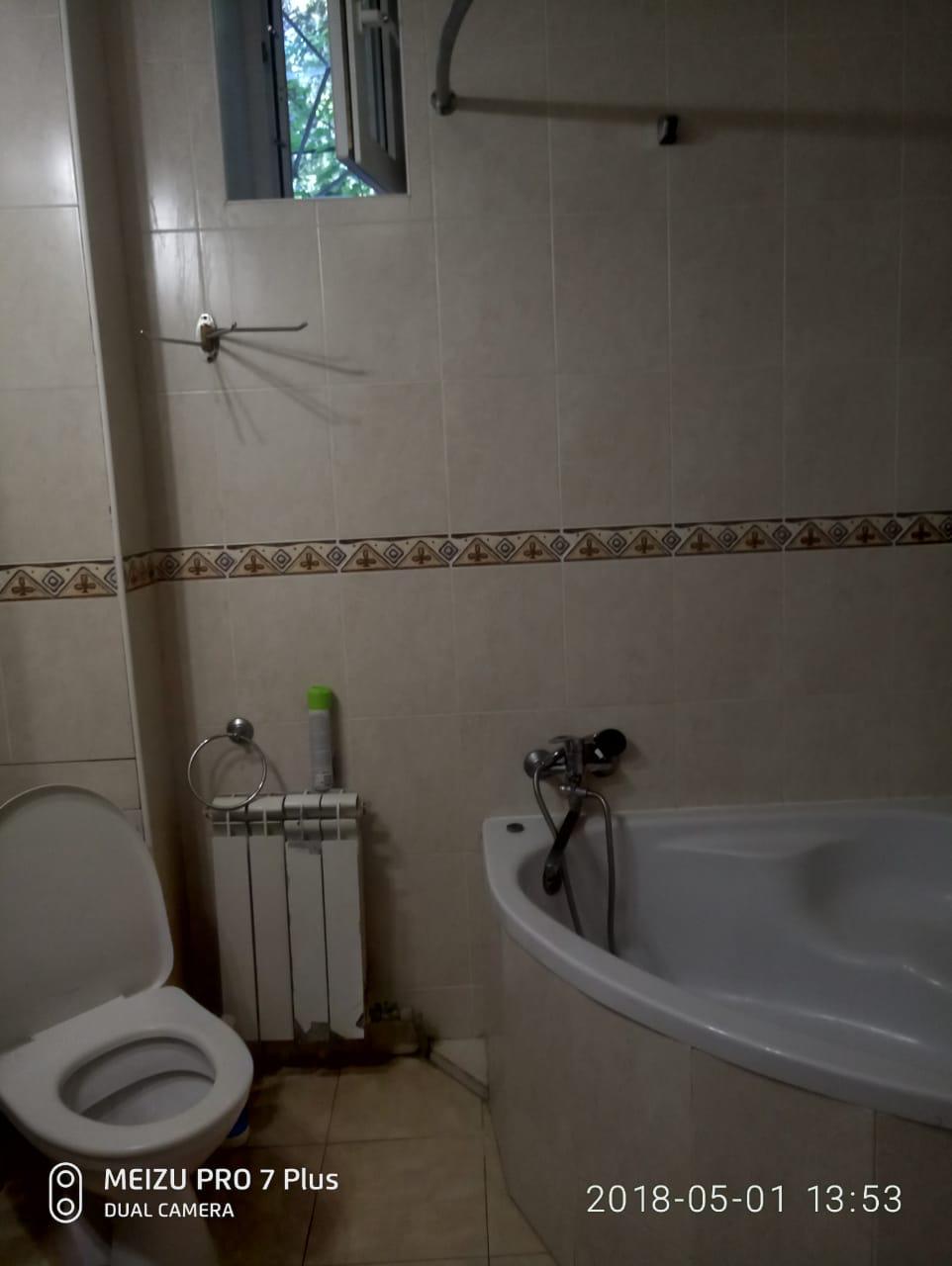 Фото Сосна и Пальмы