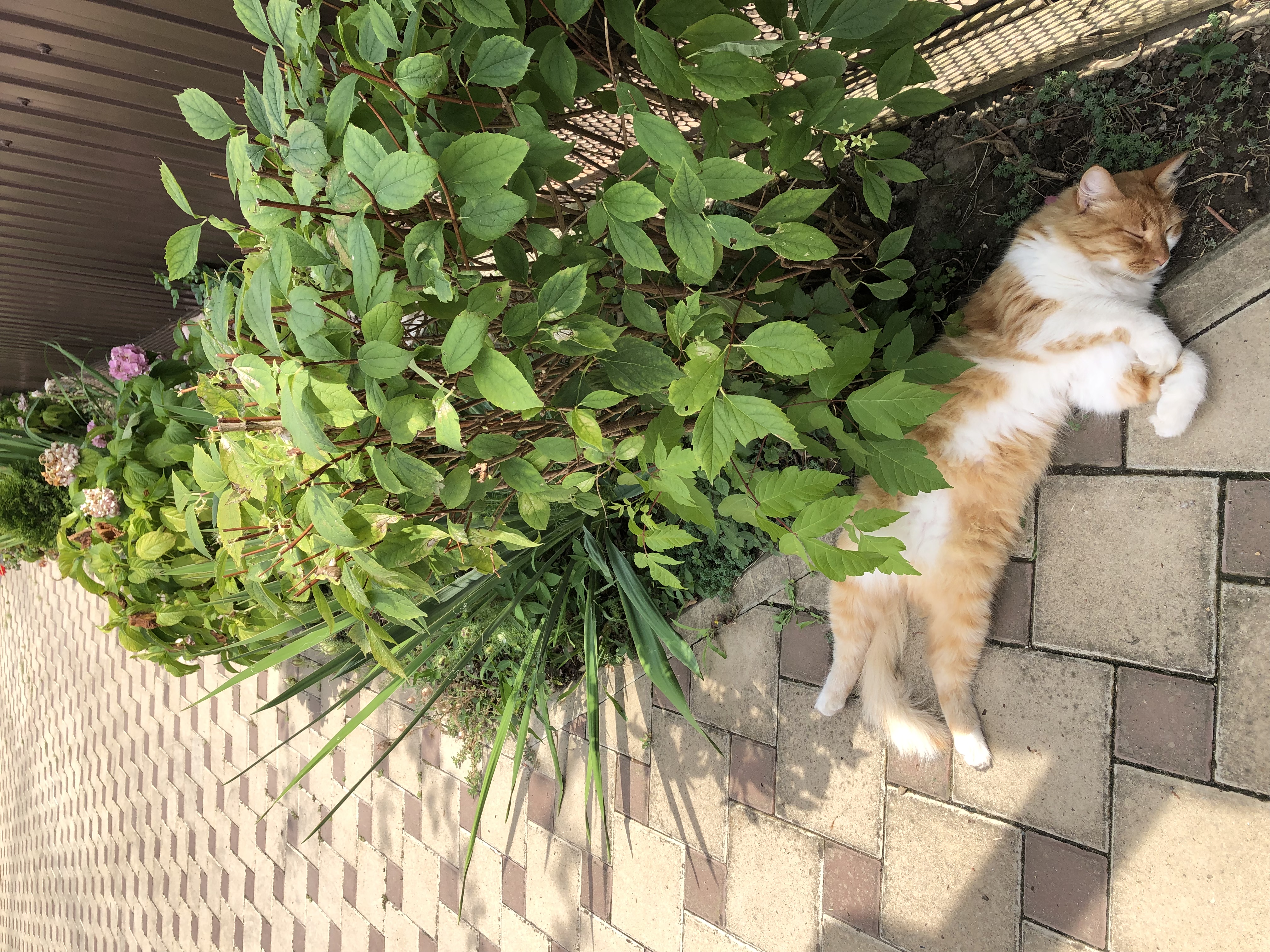 Фото Дом для гостей