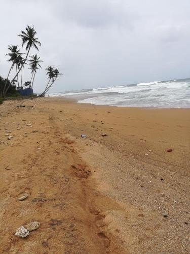Фото Abesekara Rest House