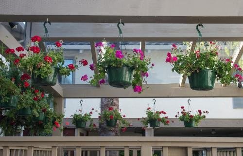 Фото Mission Inn