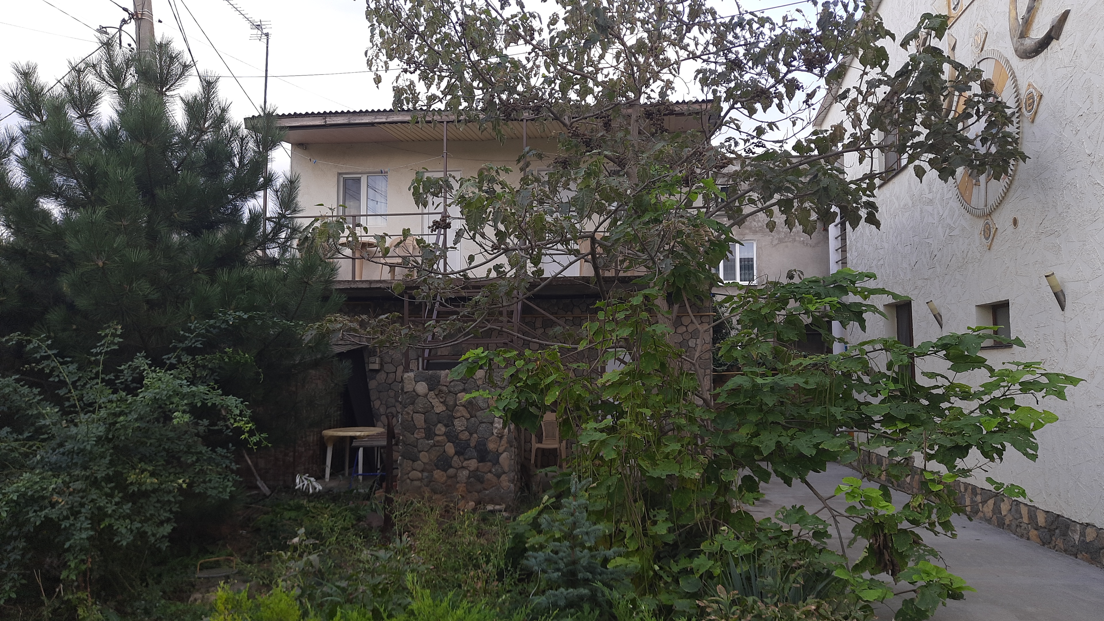 Фото Роза ветров