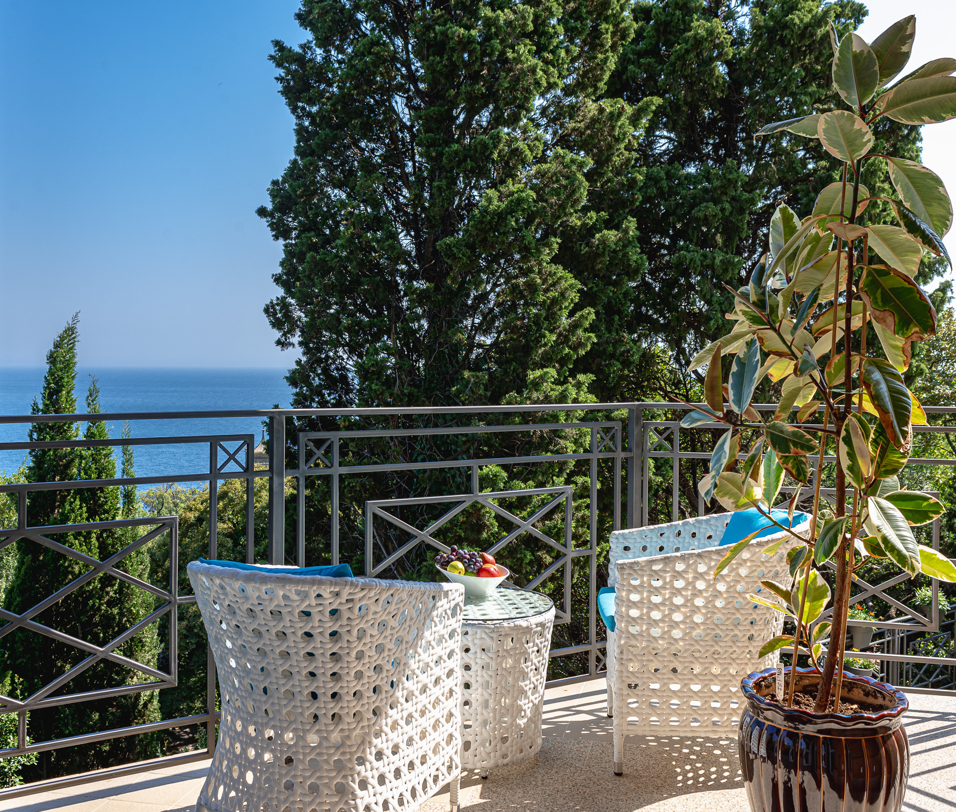 Фото Камелия