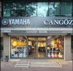 Cangoz Music Academy (İstanbul, Kadikoy, Bagdat Avenue, 109) ، مدرسة الفنون
