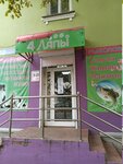 4 Лапы (Novorossiyskaya ulitsa, 59), tienda de animales