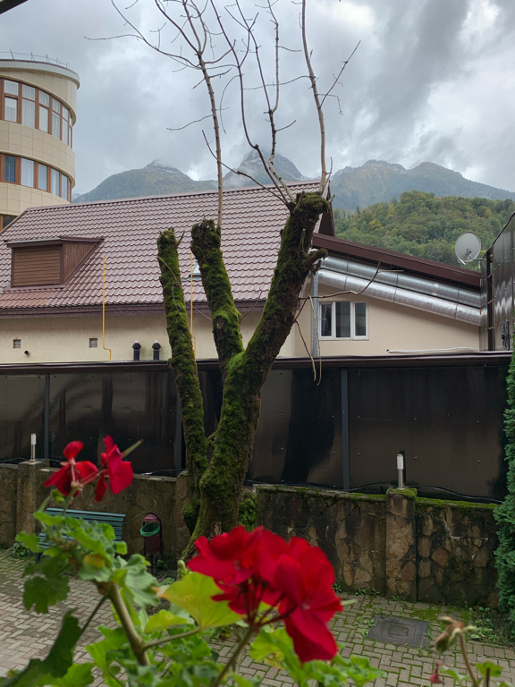 Фото Дача на Березовой