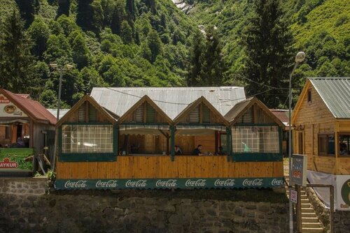 Гостиница Ayder Saray Apart в Чамлыхемшине