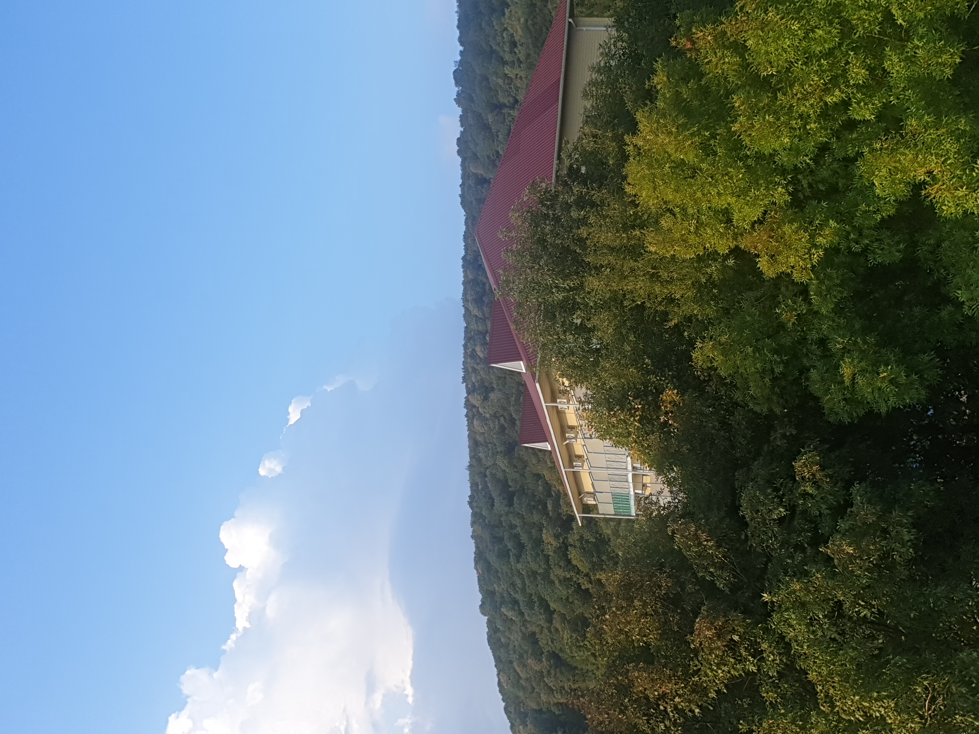 Фото Парижанка