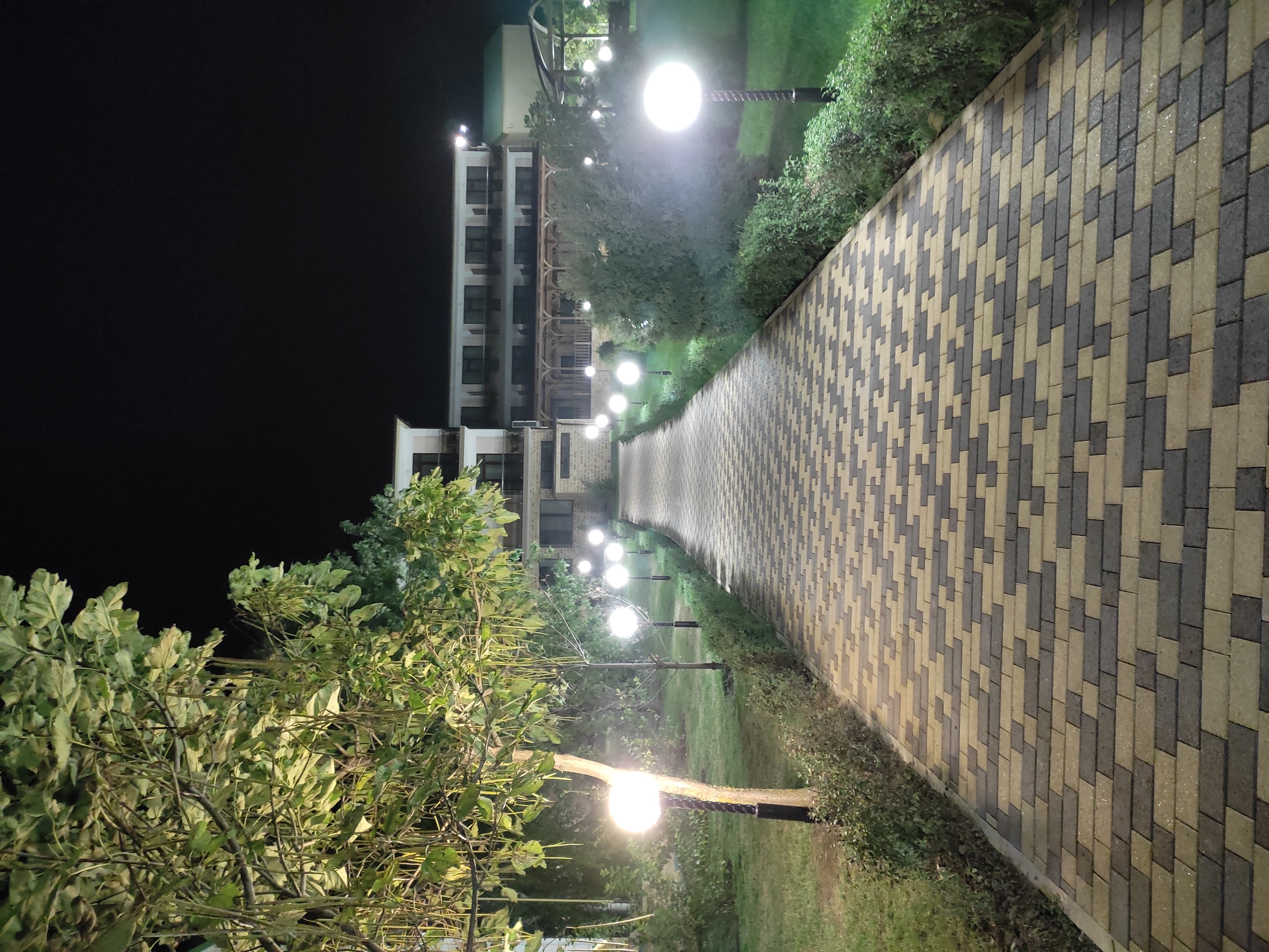 Фото Золотые пески