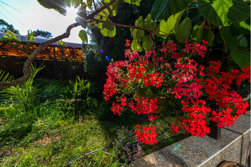 Фото Желтый Дом