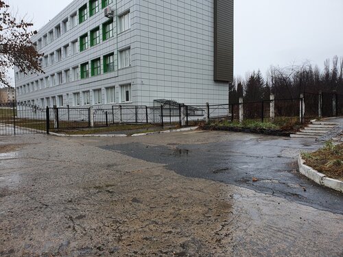 Oltin dush hukmronlik porno video