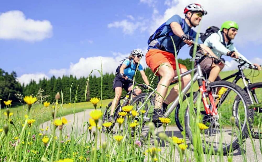 Фото Hotel Am Kurpark