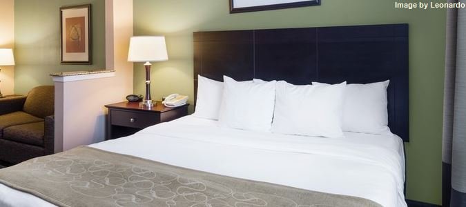 Фото Comfort Suites Las Colinas Center