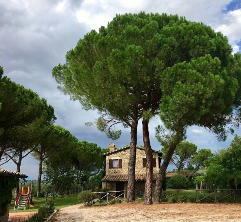 Hotel Agriturismo Poggio alle Vigne, Umbria, photo